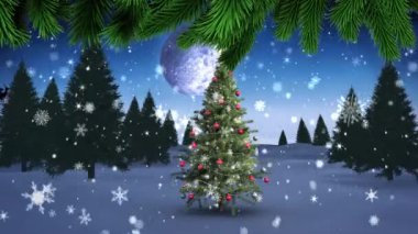 Noel ağacı dalları ve kar taneleri kış manzarasında Noel ağacının üzerine düşüyor. Noel şenliği ve kutlama konsepti