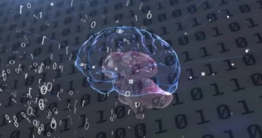 Erkek vücut modeli ve insan beyni gri arka planda ikili kodlama veri işlemesine karşı. tıbbi araştırma ve bilim teknolojisi kavramı