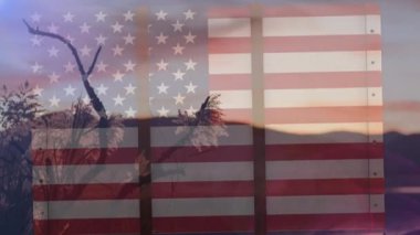 Dağlı ve ağaçlı manzaraya karşı Amerikan bayrağı üzerinde dostça mesajlar. Amerikan vatanseverliği ve arkadaş verme günü kutlaması konsepti