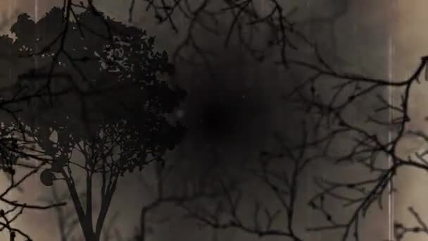 Animation Numérique Branches Arbres Effrayantes Sur Fond Gris Halloween Illustration — Video