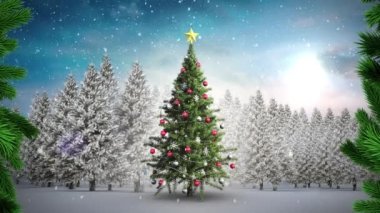 Kış manzarasında Noel ağacının üzerine düşen kara karşı ağaç dalları. Noel şenliği ve kutlama konsepti