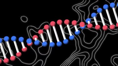 Dönen DNA iplikçiklerinin ve siyah arkaplan üzerinde hareket eden beyaz çizgilerin animasyonu. Mutlu yıllar ve dijital olarak üretilen video konsepti.