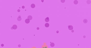 Göğüs kanseri farkındalığı metni ve pembe kurdeleli mor arka planda kadın silueti animasyonu. Göğüs kanseri pozitif farkındalık kampanyası konsepti dijital olarak üretildi.