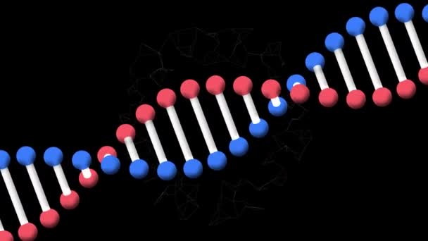 Animation Spinning Dna Strand Moving Network Connections Black Background Happy — Stock Video