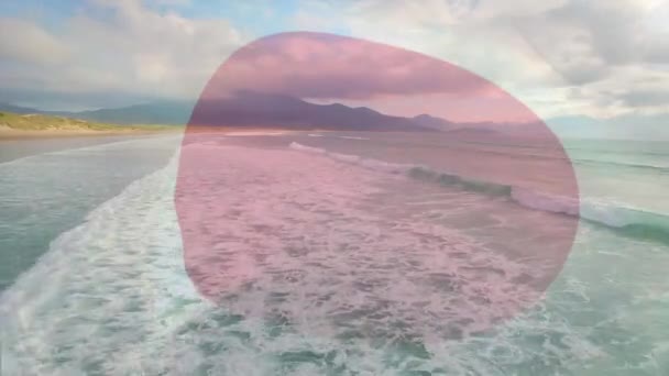 Cyfrowa Kompozycja Falującej Japońskiej Flagi Widokiem Powietrza Plażę Krajowa Koncepcja — Wideo stockowe