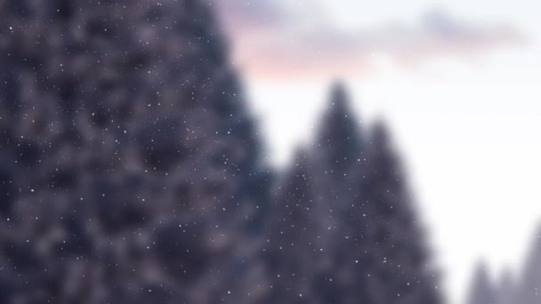 Κινούμενο Χιόνι Πέφτει Πάνω Από Έλατα Γκρι Χριστούγεννα Χειμώνας Παράδοση — Αρχείο Βίντεο