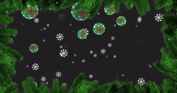 Animation Snow Falling Christmas Baubles Decoration Fir Trees Black Background — Stock Video