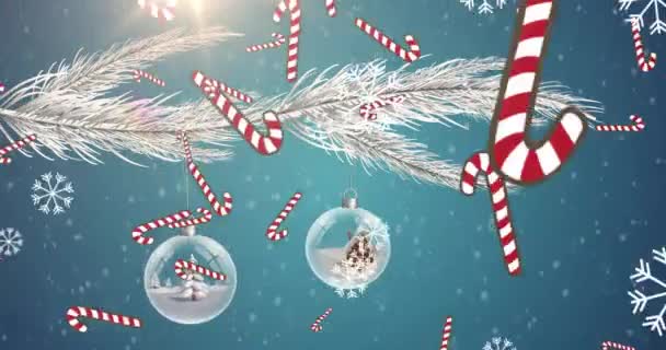 枝に掛かるクリスマスの装飾に対して落ちる複数のキャンディーの杖のアイコン クリスマス フェスティバルとお祝いのコンセプト — ストック動画
