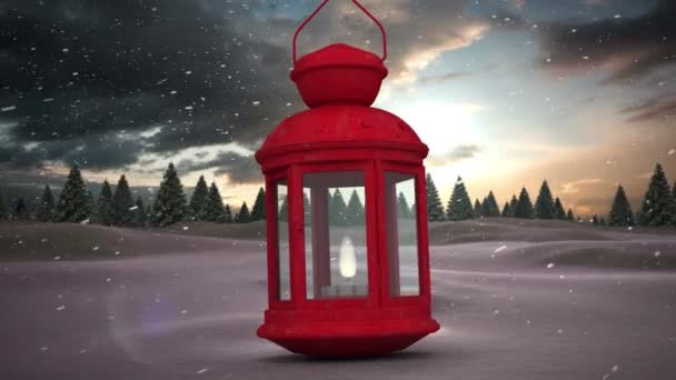 Red Christmas Lamp Snow Falling Multiple Trees Winter Landscape Christmas — Stock Video