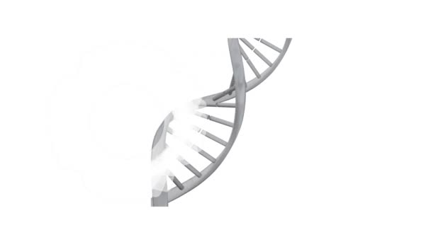 Animation Dna Strand Shapes White Background Science Digital Interface Concept — Stock Video
