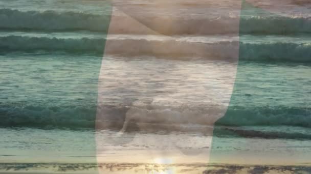 Digitální Složení Vlající Nigerijské Vlajky Proti Výhledu Pláž Mořské Vlny — Stock video
