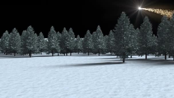 冬季景观中的多棵树与背景为黑色的流星相抗衡 圣诞节的庆祝和庆祝概念 — 图库视频影像