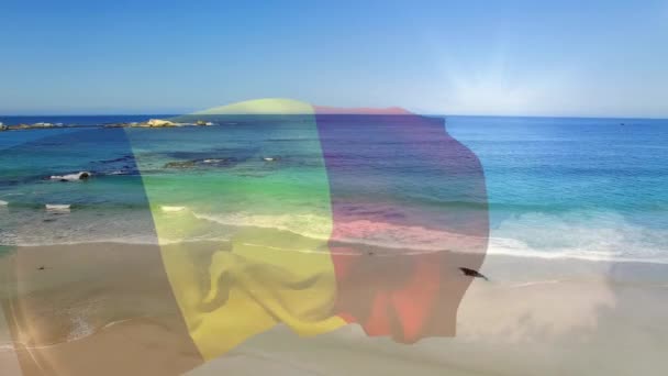 Composición Digital Bandera Belga Ondeando Contra Vista Aérea Playa Las — Vídeos de Stock