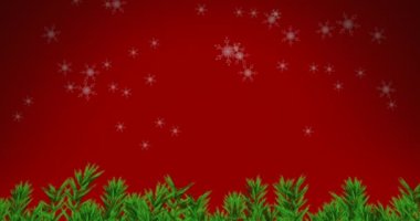 Noel ağacı dalları ve kar taneleri simgeleri kırmızı zemine düşüyor. Noel şenliği ve kutlama konsepti