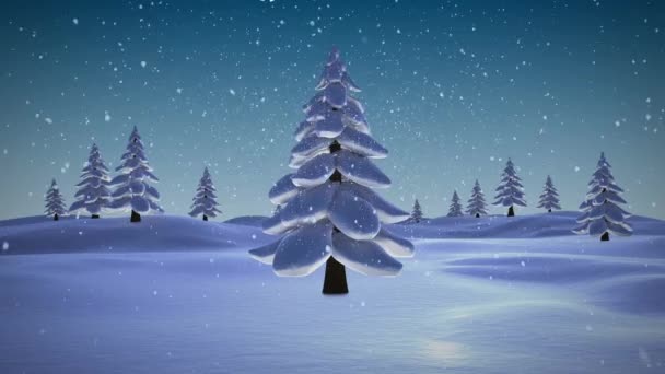Christmas Tree Branches Snow Falling Multiple Trees Winter Landscape Blue — Stock Video