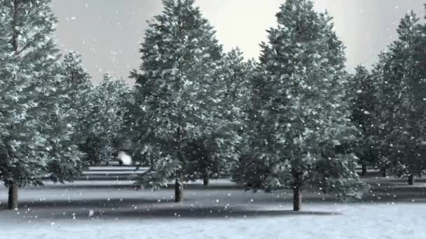 Snow Falling Winter Landscape Multiple Trees Sky Christmas Festivity Celebration — Stock Video