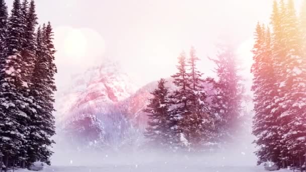 山や木で冬の風景に落ちる光と雪のスポット クリスマス フェスティバルとお祝いのコンセプト — ストック動画
