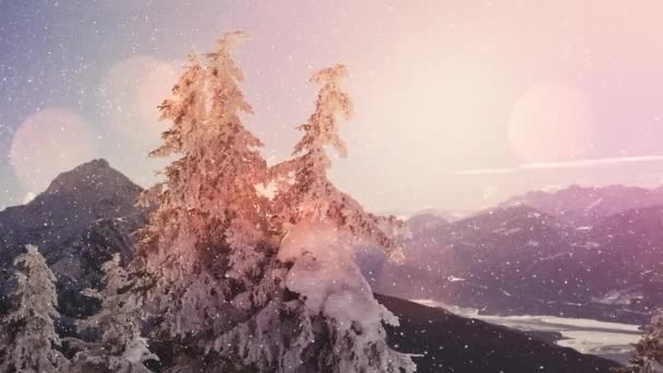 Plamki Światła Śniegu Spadające Nad Zimowym Krajobrazem Górami Drzewami Koncepcja — Wideo stockowe