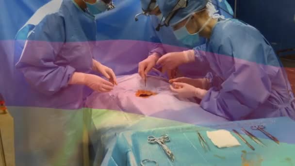 手術室で外科医に手を振っているドイツの国旗のアニメーション 世界中の医療や医療サービスをデジタル化し — ストック動画