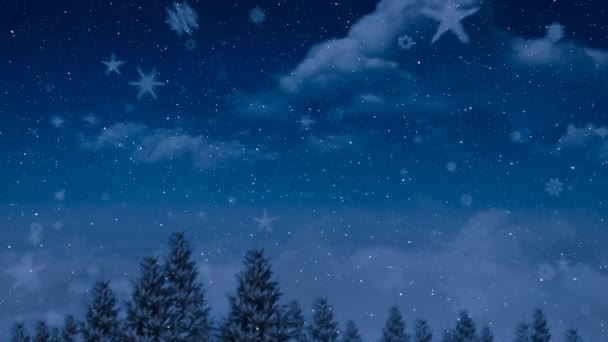 Schnee Fällt Über Bäume Der Winterlandschaft Gegen Den Nachthimmel Weihnachtsfeier — Stockvideo