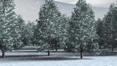 Kış mevsiminde beyaz arka planda birden fazla ağacın üzerine kar yağar. Noel şenliği ve kutlama konsepti