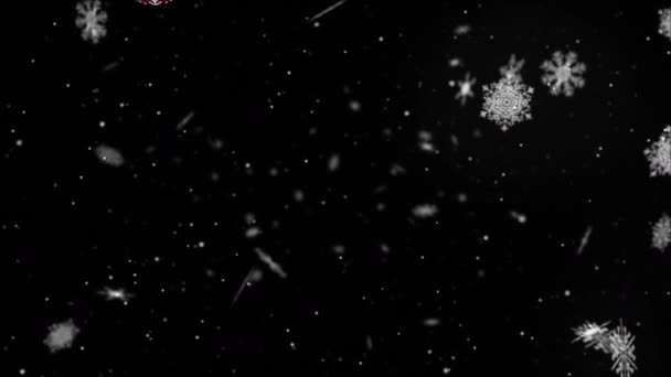 Animation Von Weihnachtsblasen Über Schnee Auf Schwarzem Hintergrund Weihnachten Winter — Stockvideo