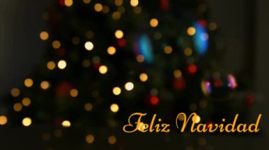 Felix Navidad 'ın animasyonu Noel ağacı üzerine yazılmış. Noel, kış, gelenek ve kutlama konsepti dijital olarak oluşturulmuş video.