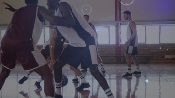 Animación Redes Conexiones Sobre Grupo Diversos Jugadores Baloncesto Gimnasio Deporte — Vídeo de stock