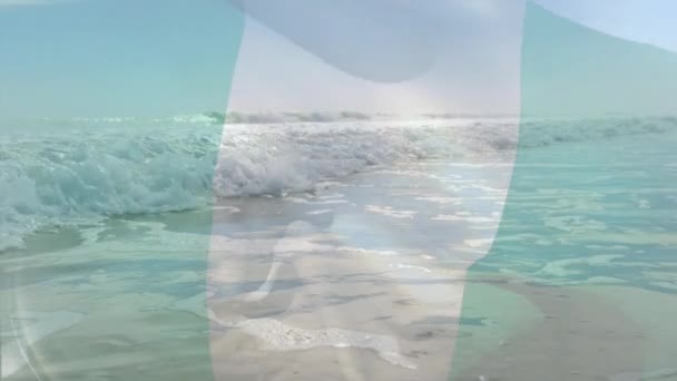 Digitale Samenstelling Van Zwaaiende Nigeria Vlag Tegen Golven Zee Nationaal — Stockvideo