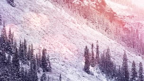 Пятна Света Снега Падают Зимний Пейзаж Горами Деревьями Рождественский Праздник — стоковое видео