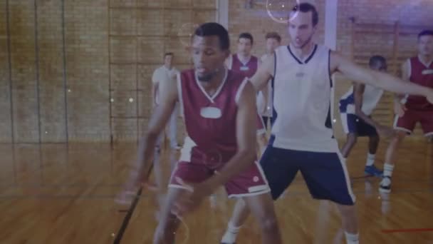 Animering Nätverk Anslutningar Över Grupp Olika Basketspelare Gym Global Sport — Stockvideo