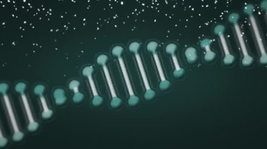 Siyah zemine düşen karın üzerinde dönen DNA iplikçiklerinin animasyonu. tıbbi araştırma, iletişim ve dijital arayüz teknolojisi konsepti dijital olarak oluşturulmuş video.