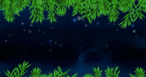 Зеленые Ветви Деревьев Снег Падающие Голубые Сияющие Звезды Ночном Небе — стоковое видео