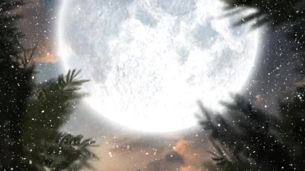 Nieve Cayendo Sobre Árboles Paisaje Invernal Contra Luna Cielo Nocturno — Vídeo de stock
