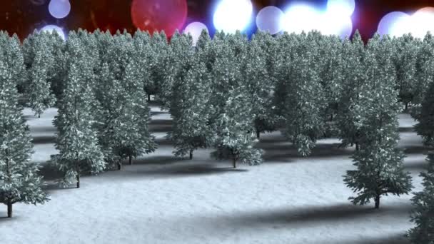 Flera Träd Vintern Landskap Mot Fläckar Ljus Röd Bakgrund Jul — Stockvideo