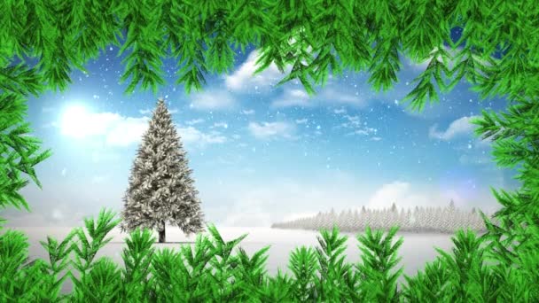 Drzewo Gałąź Śnieg Padam Nad Choinka Zimowy Krajobraz Przeciw Błękitny — Wideo stockowe