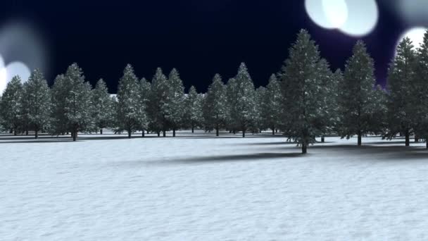 Meerdere Bomen Winterlandschap Tegen Witte Lichtvlekken Zwarte Achtergrond Kerstfeest Viering — Stockvideo