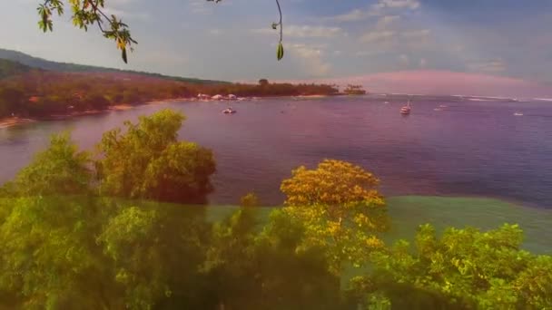 Denizin Havadan Görünüşüne Karşı Alman Bayrağı Sallamanın Dijital Bileşimi Ulusal — Stok video