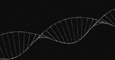 Siyah arkaplanda dönen beyaz, parlayan 3D çift sarmal DNA ipliği. Tıp genetiği bilim konsepti dijital olarak oluşturulmuş görüntü.