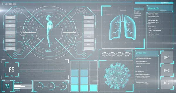 用医学资料记录在屏幕上对大肠病毒细胞 肺和心脏的图像进行分析 Global Medicine Coronavirus Covid Pandemic Concept Digital Generated — 图库照片