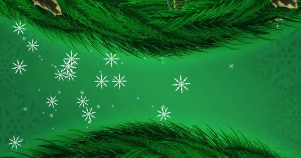 Image Snow Falling Christmas Fir Tree Green Background Christmas Tradition — Stock Photo, Image