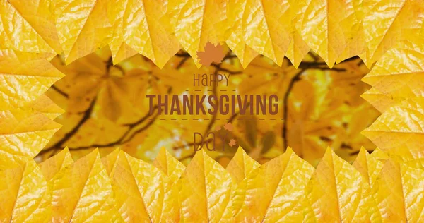 Glad Tacksägelsedag Text Banner Och Ram Höstlöv Mot Höstträd Thanksgiving — Stockfoto