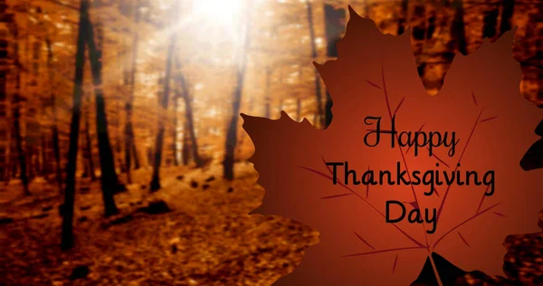 Digital Composition Happy Thanksgiving Day Text Autumn Maple Leaf Autumn — Stock Photo, Image