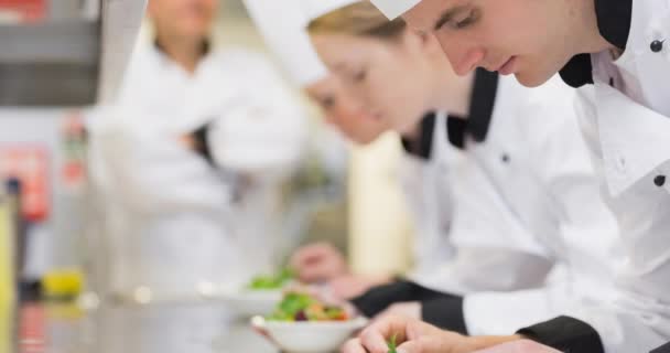 Gericht Jonge Kaukasische Mannelijke Chef Kok Bereiden Van Voedsel Professionele — Stockvideo