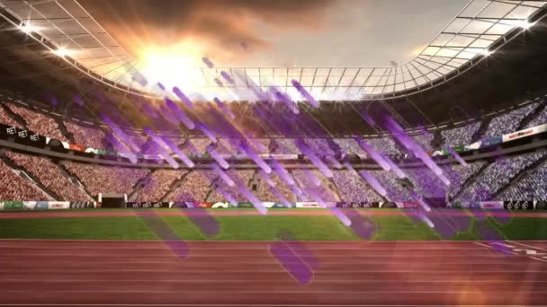 Анимация Фиолетовых Легких Трасс Падающих Над Спортивным Стадионом Спорт Связи — стоковое видео