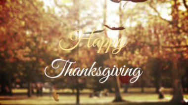 Arka planda ormana düşen pekçok akçaağaç yaprağı üzerindeki Şükran Günü mesajınız kutlu olsun. Şükran Günü kutlaması ve tatil konsepti