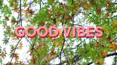 Sonbahar ağaçlarında güzel titreşimlerin animasyonu. Sosyal medya mesajlaşması ve küresel iletişim teknolojisi konsepti dijital olarak oluşturulmuş video