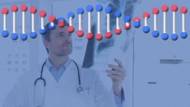 Kafkas erkek doktorun elinde X-ray tutan DNA ipliği. Tıbbi ve sağlık hizmetleri, bağlantılar ve dijital arayüz konsepti dijital olarak oluşturulmuş video.
