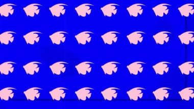 Renkli arka planda birden fazla pembe balığın animasyonu. doğa, desen, renk ve hareket konsepti dijital olarak oluşturulmuş video.