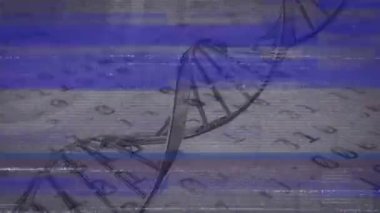 DNA iplikçiklerinin dönmesi ve ikili kodlama sayılarının değişmesi. küresel bilim ve dijital arayüz kavramı dijital olarak oluşturulmuş video.